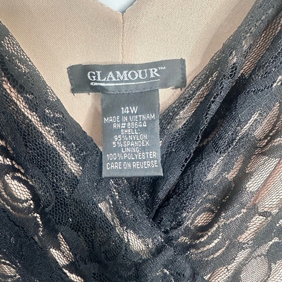 Fit and Flare Black/Tan Lace‎ Overlay Sleeveless Dress | 14W - Picture 10 of 10